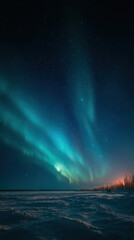 Northern lights glowing over snowy tundra with crystal clear starry sky. Cinematic winter scene