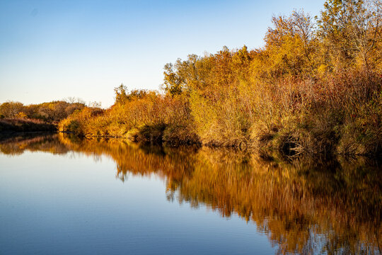 View of McLaughlin Bay Wildlife Reserve in Oshawa.