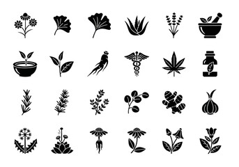 A collection of herbal medicine and natural remedy glyph icons for holistic wellness and botany 2j (347)