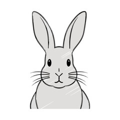 Cute gray rabbit cartoon illustration, simple hand drawn animal character, adorable bunny face vector art