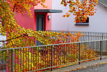 Autumnal Facade with Railing