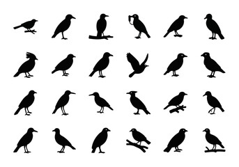 Obraz premium A diverse set of black crow and raven bird silhouettes. Vector illustration collection showing the corvids in various poses like flying and perching