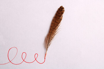 A bird's feather draws a curved line
