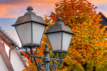 Autumn Street Lamps