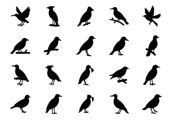 Obraz premium Collection of black bird silhouettes. A vector icon set of crows, ravens, and rooks in various poses like flying and perching