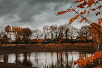 Warm autumn landscape with colorful leaves and calm lake reflecting bare trees under dramatic sky. Fall season mood, countryside, nature reflection