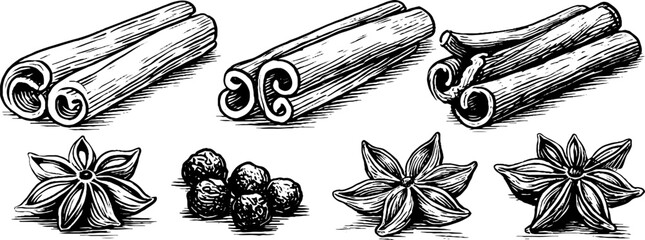 Spice collection featuring cinnamon sticks, black peppercorns, and clove buds in vintage hand-drawn style
