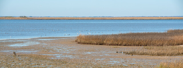 Fort Anahuac Park in Texas © st_matty