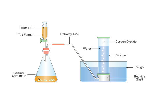 Carbon Dioxide Gas preparation Experiment Science Design. Vector Illustration.