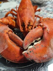 red lobster on a plate