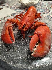 lobster, food. ocean, Canada, seafood, NS, Nova Scotia, cooked, sea, claw