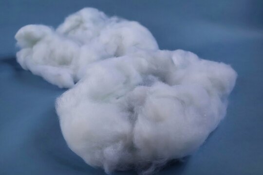 Soft white Dacron fibers displayed on a smooth blue background, highlighting their fluffy and lightweight texture.
