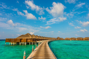 Tropical island beach landscape exotic shore coast. Tranquil closeup calm sea water waves with palm trees. Beautiful Panorama. Summer vacation, holiday amazing nature. Relax paradise, Maldives.