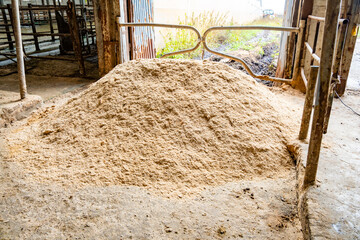 A pile of coniferous sawdust used to feed dairy cows to stalls