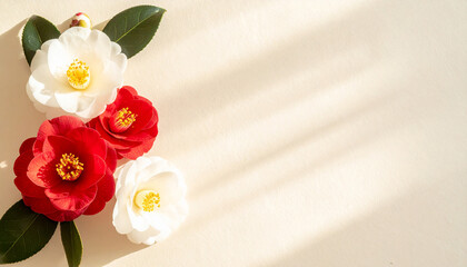 紅白の椿と柔らかな光が差す和モダン背景