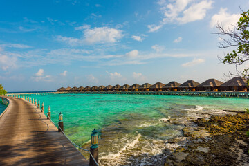 Tropical island beach landscape exotic shore coast. Tranquil closeup calm sea water waves with palm trees. Beautiful Panorama. Summer vacation, holiday amazing nature. Relax paradise, Maldives.