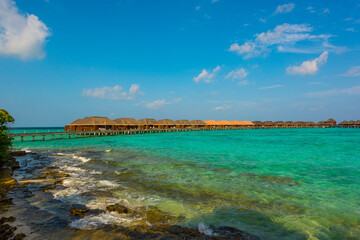 Tranquil closeup calm sea water waves with palm trees. Beautiful Panorama. Tropical island beach landscape exotic shore coast. Summer vacation, holiday amazing nature. Relax paradise, Maldives.