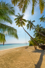A swing is in the frame. Tropical island beach landscape exotic shore coast. Tranquil closeup calm sea water waves with palm trees. Summer vacation, holiday amazing nature. Relax paradise, Maldives.