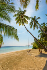 A swing is in the frame. Tropical island beach landscape exotic shore coast. Tranquil closeup calm sea water waves with palm trees. Summer vacation, holiday amazing nature. Relax paradise, Maldives.