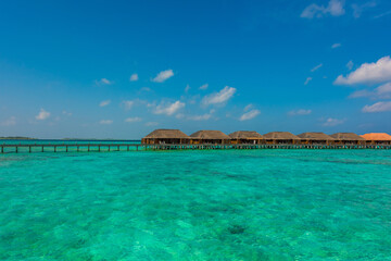 Tropical island beach landscape exotic shore coast. Tranquil closeup calm sea water waves with palm trees. Beautiful Panorama. Summer vacation, holiday amazing nature. Relax paradise, Maldives.
