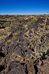 Valley of Fires lava field is considered one of the youngest lava flows in the United States, with the various formations created around 10,000 years ago.