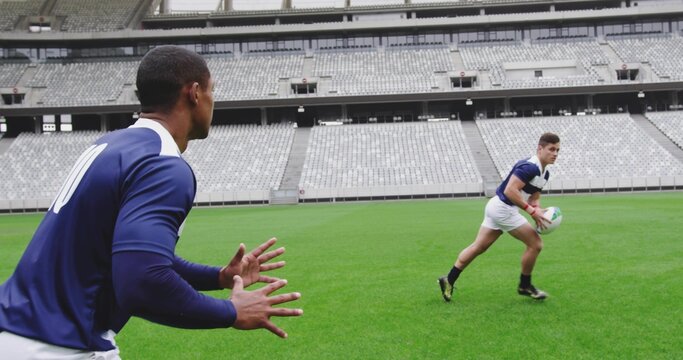 Passing rugby ball, two male athletes wearing navy blue jerseys, white shorts on green pitch, seats - Powered by Adobe