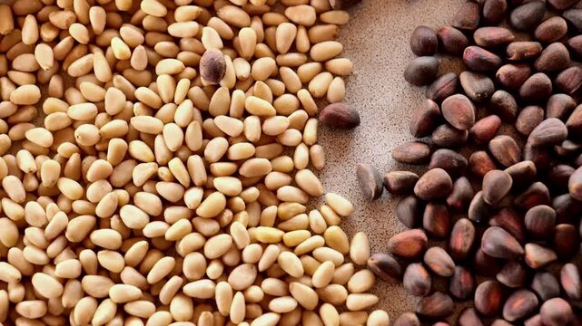 Pine nuts in shells and peeled kernels are poured into a ceramic cup.Useful healthy snack. footage