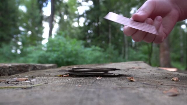 The hand shuffles the deck on a tree stump in the forest. Playing cards, low point shooting, close-up, natural light.