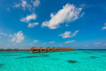 Tropical island beach landscape exotic shore coast. Tranquil closeup calm sea water waves with palm trees. Beautiful Panorama. Summer vacation, holiday amazing nature. Relax paradise, Maldives.