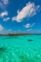 Tropical island beach landscape exotic shore coast. Tranquil closeup calm sea water waves with palm trees. Beautiful Panorama. Summer vacation, holiday amazing nature. Relax paradise, Maldives.