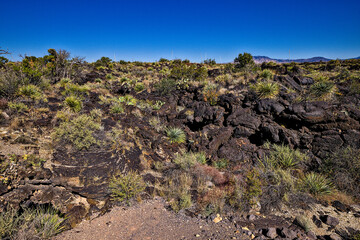 Valley of Fires lava field is considered one of the youngest lava flows in the United States, with the various formations created around 10,000 years ago.