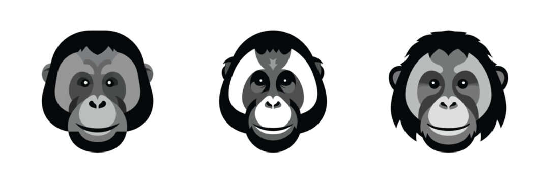 Three monkey faces, each displaying a different expressive cartoon-like style