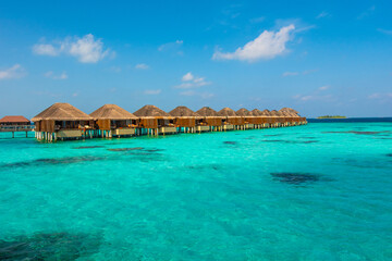 Tropical island beach landscape exotic shore coast. Tranquil closeup calm sea water waves with palm trees. Beautiful Panorama. Summer vacation, holiday amazing nature. Relax paradise, Maldives.
