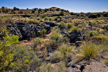Valley of Fires lava field is considered one of the youngest lava flows in the United States, with the various formations created around 10,000 years ago.