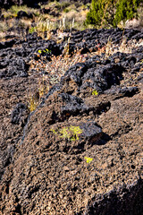 Valley of Fires lava field is considered one of the youngest lava flows in the United States, with the various formations created around 10,000 years ago.