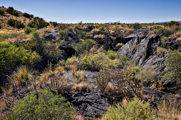 Valley of Fires lava field is considered one of the youngest lava flows in the United States, with the various formations created around 10,000 years ago.