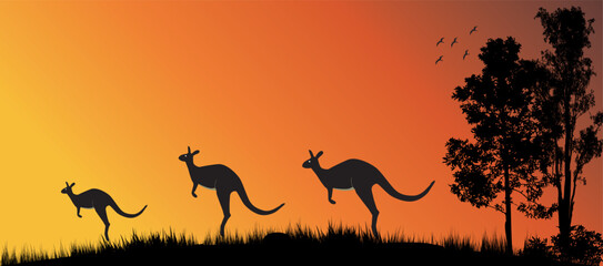 kangaroo hoping in sunset