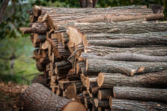 Pile of cut logs stacked outdoors as firewood. Split trunks with visible bark and rings form a woodpile prepared for heating, representing forestry products, winter fuel, and rural household energy.