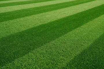 Lush green soccer field turf showing perfect grass texture for sports background