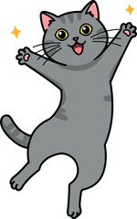 Happy Gray Tabby Cat Jumping With Stars Isolated White Background