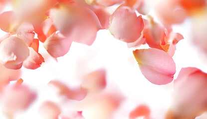 Soft pink rose petals floating gracefully in air create serene and romantic atmosphere against bright background