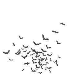 Fototapeta premium Bat swarm flying at night isolated on transparent background