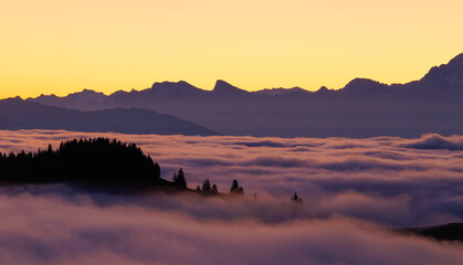 Early and cold autumn sunrise on Gurnigel pass overlooking the ocean of clouds , Switzerland