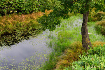 北海道　秋の知床五湖