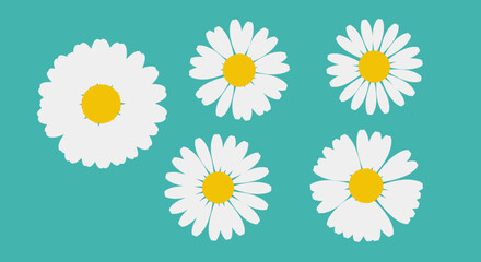 Cute Daisy Flower Icons Collection - Flat Vector Art on Teal Background