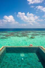 Summer vacation, holiday amazing nature. Relax paradise, Maldives. Tropical island beach landscape exotic shore coast. Tranquil closeup calm sea water waves with palm trees. Beautiful Panorama. 