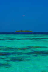 Summer vacation, holiday amazing nature. Relax paradise, Maldives. Tropical island beach landscape exotic shore coast. Tranquil closeup calm sea water waves with palm trees. Beautiful Panorama. 