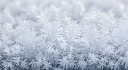 Snow covered tree branches in a cold winter forest landscape