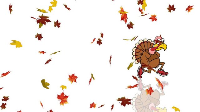 Loopable cartoon animation showing a turkey bird running across a clean white background against falling autumn leaves. Thanksgiving theme blending humor, motion, and cozy seasonal celebration mood. 