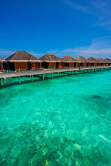 Summer vacation, holiday amazing nature. Relax paradise, Maldives. Tropical island beach landscape exotic shore coast. Tranquil closeup calm sea water waves with palm trees. Beautiful Panorama. 
